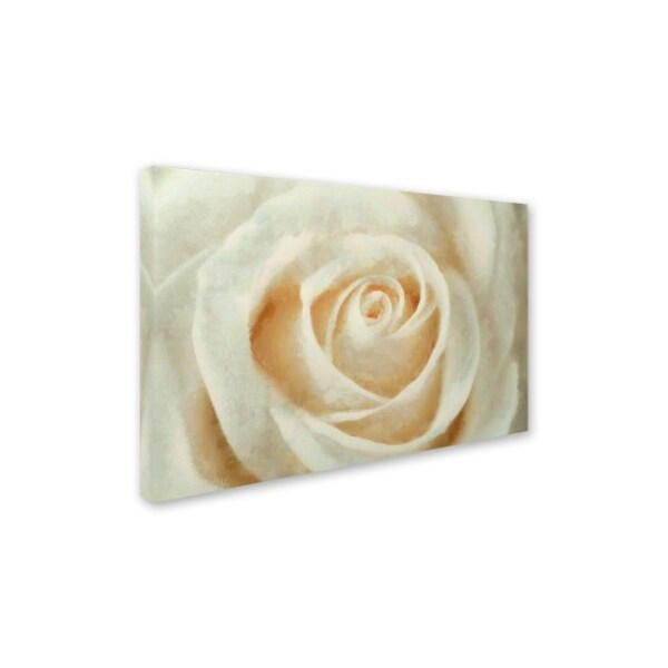 Cora Niele 'White Rose' Canvas Art,12x19